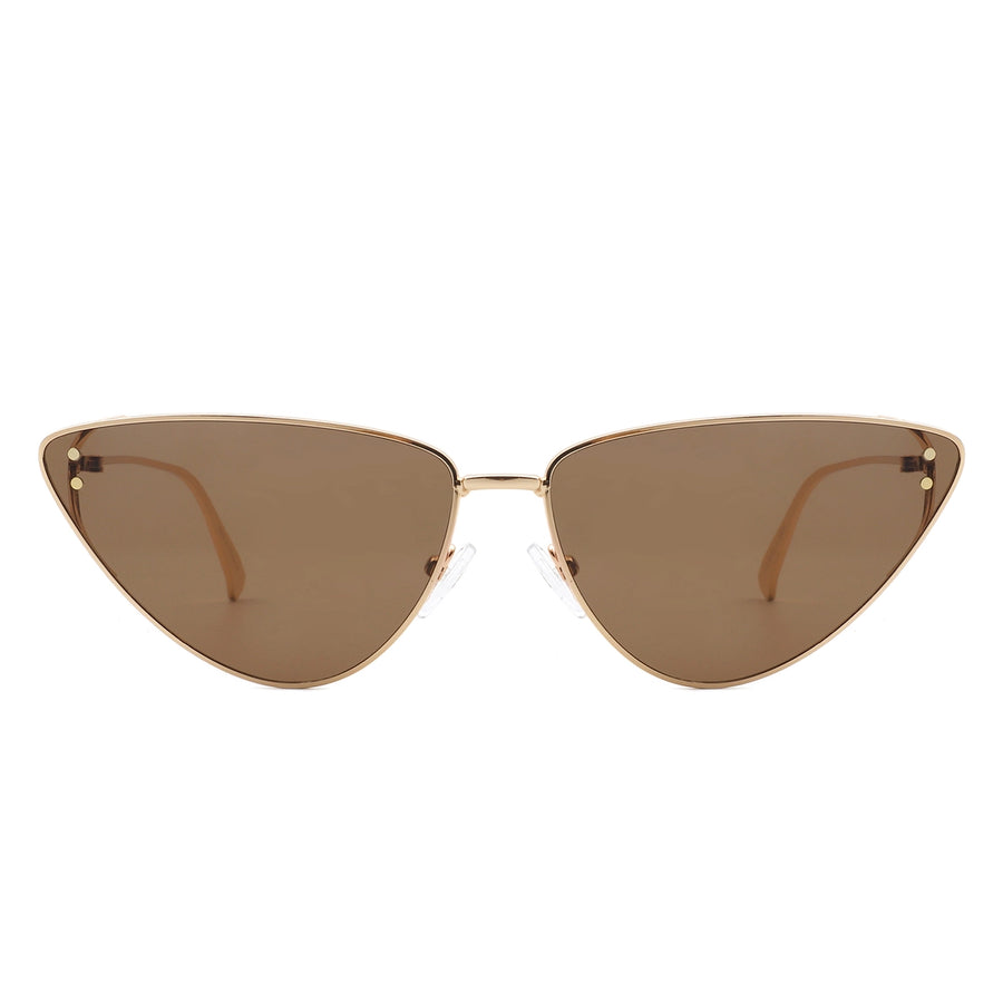 Tinted Sunglasses in Brown