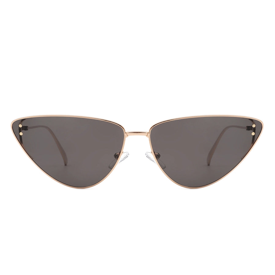 Tinted Sunglasses in Black