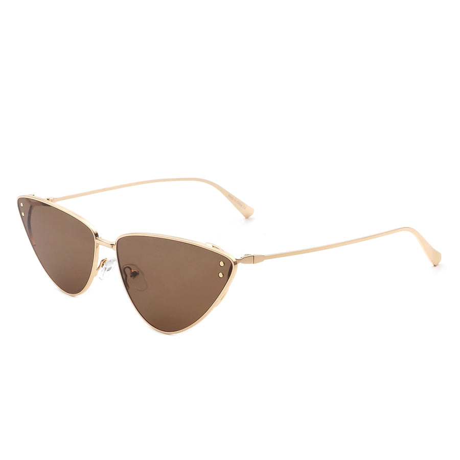 Tinted Sunglasses in Brown