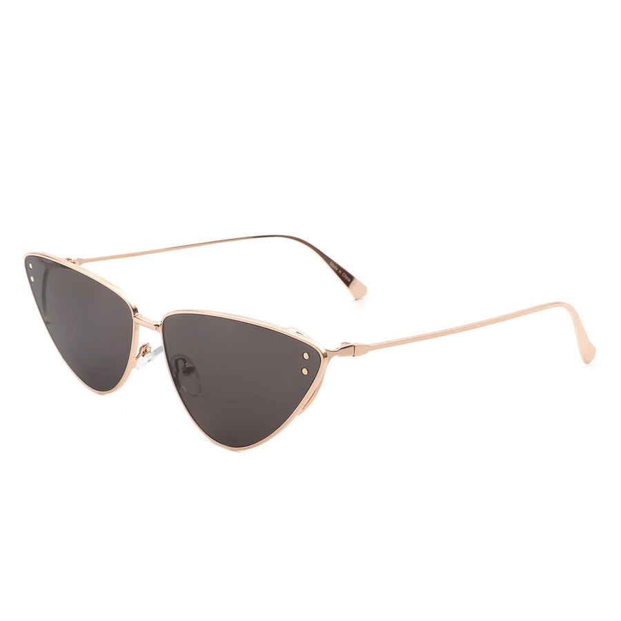 Tinted Sunglasses in Black