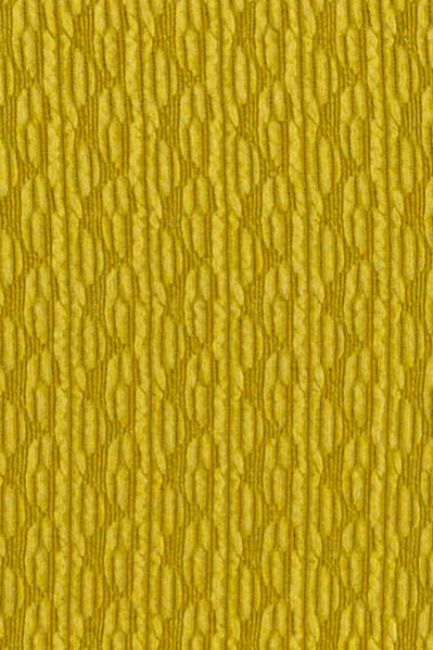 Square Neck Top - Plus
