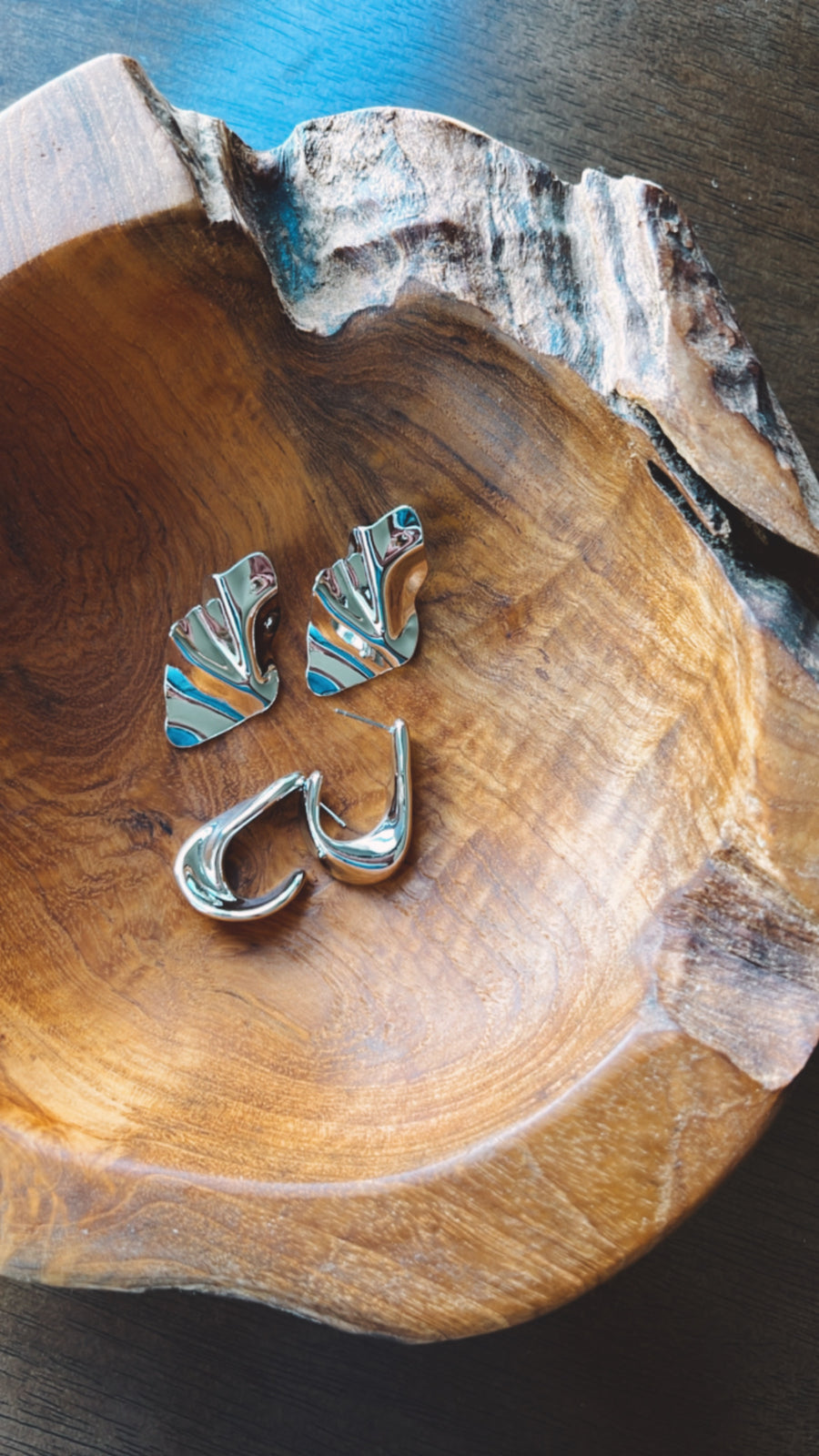 Twisted Earrings in Silver